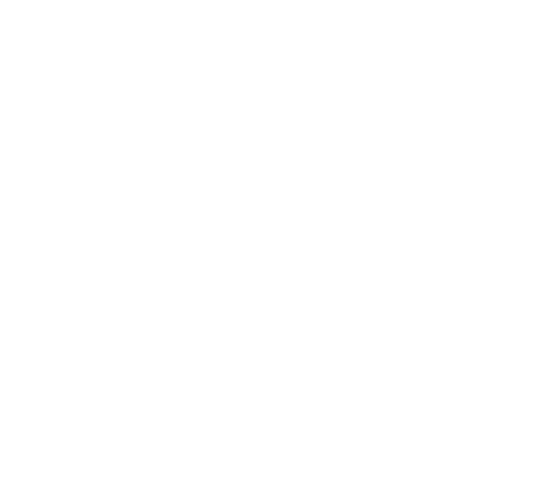 The Bronx is Burning