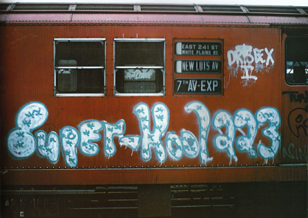 Graffiti Writing on a Train